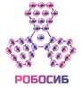 Робосиб-2013 (г. Иркутск, 2013г.)_8
