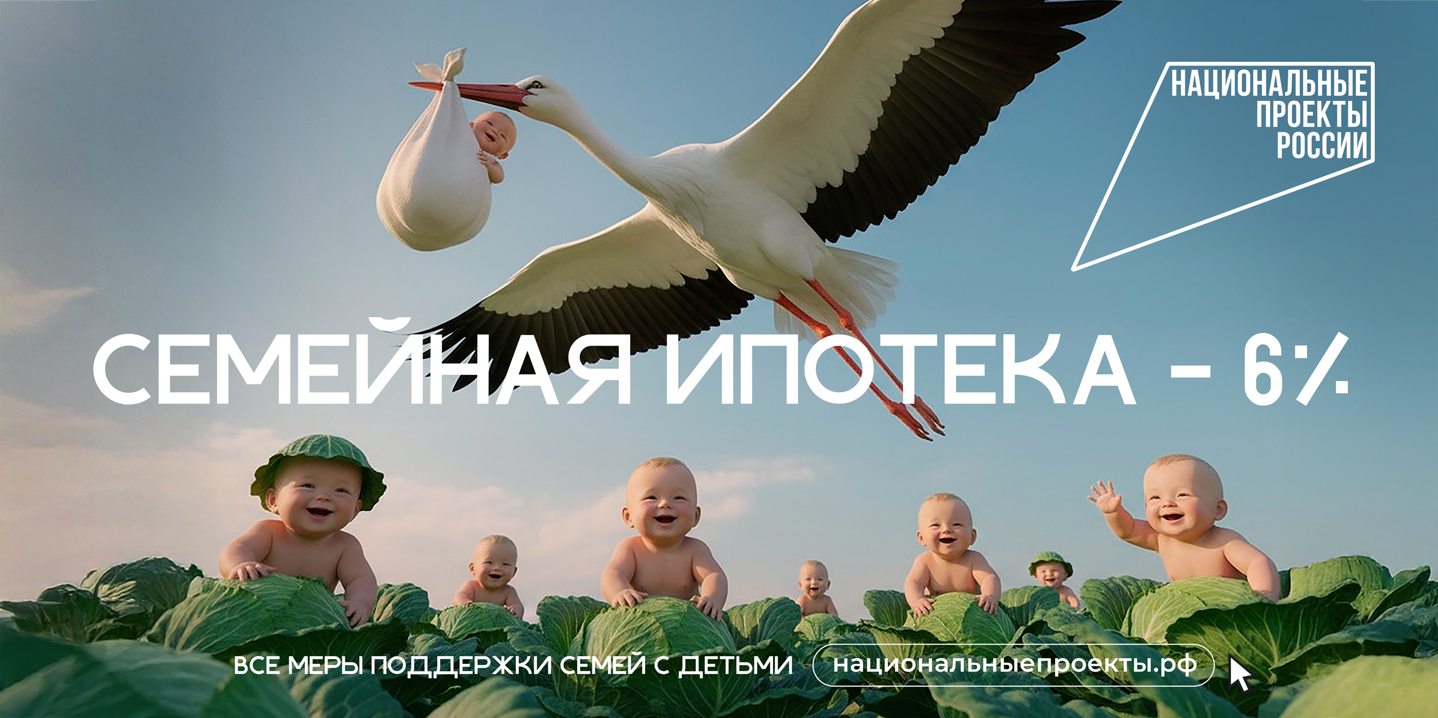Аист 6х3 1